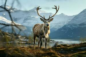 AI generated Reindeer in the spring embodying renewal and nature's seasonal beauty AI Generated photo