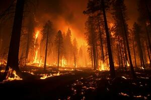 wildfire forest fire Engulfs Woods Fire Spreads Wildly AI Generated photo