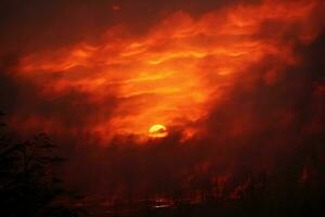 wildfire forest fire Engulfs Woods Fire Spreads Wildly AI Generated photo