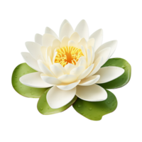 AI generated Water lily clip art png