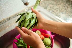 Directly above Closeup hands holding fresh organic artichoke and washing under running water in the sink at home kitchen photo