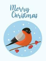 Greeting concept. A bullfinch sits on a branch. Bird vector character. Ideal for print, postcard or label. New Year card. Vector illustration on a white background.