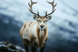 AI generated Reindeer in the spring embodying renewal and nature's seasonal beauty AI Generated photo