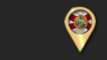 State of Florida Gold Location Icon Flag Seamless Looped Waving, Space on Left Side for Design or Information, 3D Rendering video