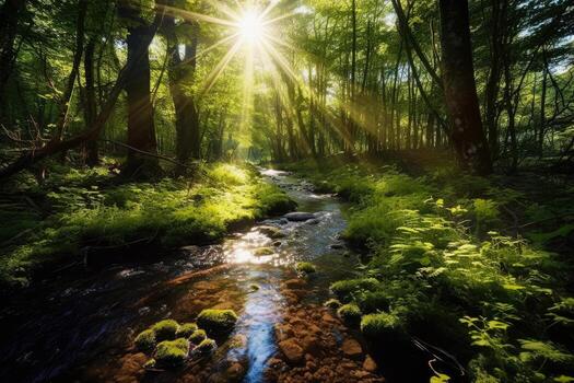 AI generated Beautiful forest is a stream running through it with bright sun shining through the trees , Ai generative photo