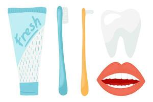 cepillo de dientes, pasta dental y diente. cepillado dientes dental colocar. contento dibujos animados vector diseño