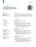 Minimalist Professional Resume template