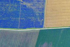 Aerial view from drone to different fields, lavender, wheat and other. Top view photo