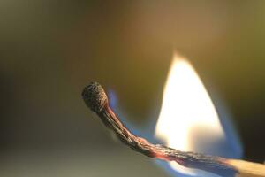 The fire spreads over a wooden match close up photo