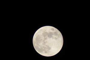 lleno Luna brillante en el otoño cielo en pensacola Florida, unido estados octubre 23 2023 foto