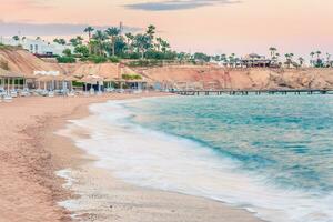 Beautiful beach coast in the Red Sea at sunset, Egypt. photo