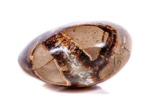 Macro mineral stone Simbirzit and Septaria on white background photo