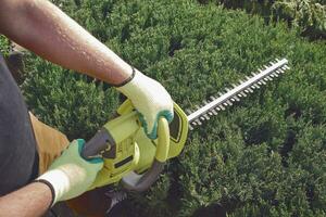 Hands of unrecognizable gardener in yellow gloves are trimming the overgrown green shrub with electric hedge trimmer on sunny backyard. Close up photo