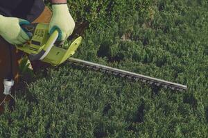 Hands of unknown worker in yellow gloves are trimming the overgrown green bush with electric hedge trimmer on sunny backyard. Close up photo