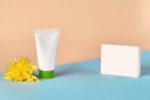 White cosmetic tube with green cap and no label next to yellow chrysanthemum flower and box against colorful studio background. Close up, copy space photo