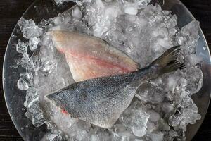 Seafood cooking preparation. Top view of dorado fillet on ice. photo