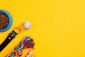Toys -multi coloured rope, ball and dry food. Accessories for play on yellow background top view photo