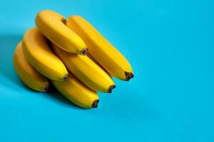 Fresh bananas close up on bright blue background. Flat lay. Summer concept. photo