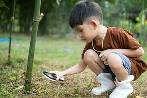 Asian boy uses a magnifying glass to survey the area around the tree. photo