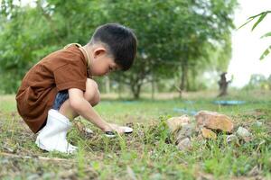 asiático chico usos un aumentador vaso a encuesta el zona alrededor el árbol. foto