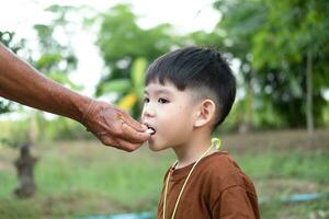 Elderly man's hands feeding snacks to Asian boy photo