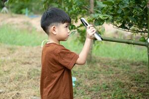 Asian boy uses a magnifying glass to survey the area around the tree. photo