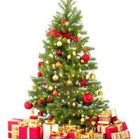 AI generated A Photo decorated christmas tree with gifts isolated on white background ai generated