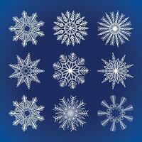 Set of snowflakes christmas background vector