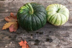 fondo otoñal. caída de otoño natural ver calabazas sobre fondo de madera. papel tapiz inspirador de octubre o septiembre. cambio de temporada concepto de comida orgánica madura, fiesta de halloween día de acción de gracias foto