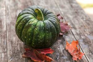 Autumnal Background. Natural autumn fall view pumpkin on wooden background. Inspirational october or september wallpaper. Change of seasons ripe organic food concept, Halloween party Thanksgiving day photo