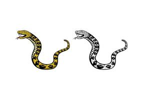 Python Snake Design Illustration vector