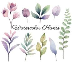 Watercolor botanical set. Delicate watercolor plants for wedding invitations, posters. Vector plants pastel colors.