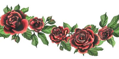 Redblack rose flowers with green leaves and buds, chic, bright, beautiful. Hand drawn watercolor illustration. Seamless border a white background, for decoration and design. vector