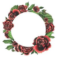 Redblack rose flowers with green leaves and buds, chic, bright, beautiful. Hand drawn watercolor illustration. Circle wreath, frame, template on a white background, for decoration and design vector