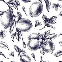 Lemons juicy, ripe with leaves, flower buds on the branches, whole and slices. Graphic botanical illustration hand drawn in blue ink. Seamless pattern EPS vector. vector