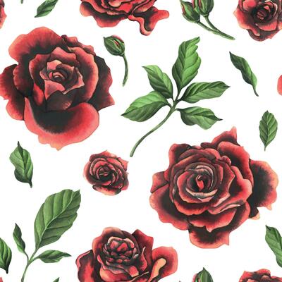 Redblack rose flowers with green leaves and buds, chic, bright, beautiful. Hand drawn watercolor illustration. Seamless pattern on a white background, for decoration and design.