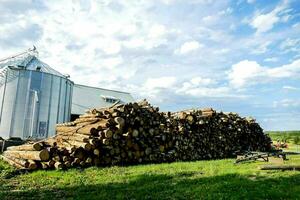 a pile of logs in front of a silo photo