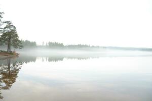 hesjo lago niebla foto