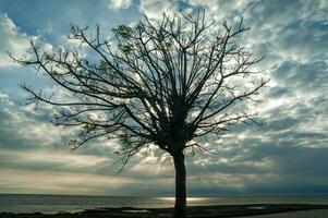 Sunrise at Gili Ketapang Island, Indonesia photo