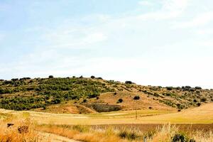 a dirt road runs through a grassy field photo