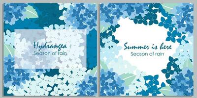 Set of botanical pattern with hydrangeas vector