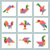 tangram rompecabezas juego para niños. vistoso geométrico colección con aislado aves. tangram varios íconos en blanco fondo. vector ilustración