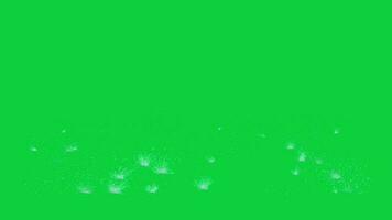 Water drops splashes on ground animation effect isolated on green screen background video