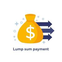 Lump sum payment icon with a money bag, vector