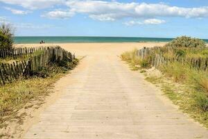 a pathway leading to the beach with sand and grass photo