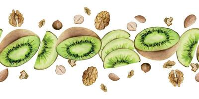 Hand drawn watercolor sliced kiwi fruit and nuts mix for diet, healthy lifestyle, vegan cooking. Illustration seamless border isolated on white background. Design poster, print, website, card, menu vector