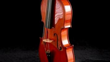 Violin or viola instrument turning at black background video