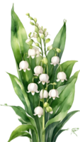 AI generated lily of the valley flower clipart AI Generative png