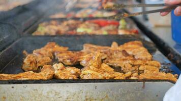 Beef and chicken steaks on the grill with flames. video