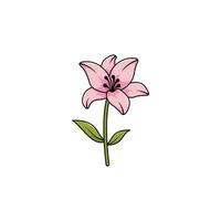 sencillo rosado lirio flor icono ilustración vector